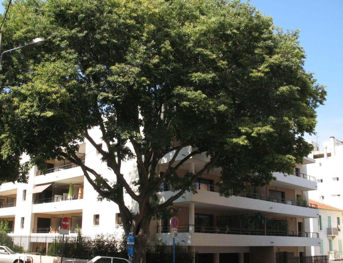 Spacious Luxury Apt, 12 Min Walk To Croisette Beach And Conf Centre Cannes Eksteriør bilde